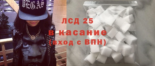 сатива Новокубанск