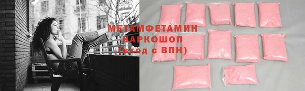 сатива Новокубанск
