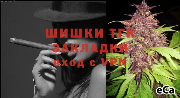 соль ск Ладушкин