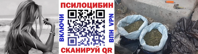 Псилоцибиновые грибы мухоморы  что такое   Ленинградская 